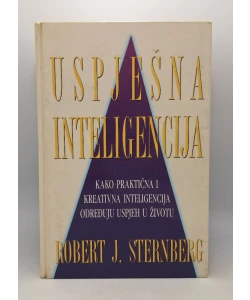 Uspješna inteligencija