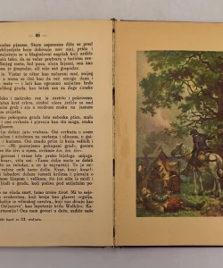 Knjiga Labuđe gnijezdo autor Hans Christian Andersen