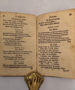 Flos medicinae sive scholae salernitanae de conservanda bona valetudine praecepta metrica Emerik Pavić