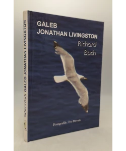 Galeb Jonathan Livingston