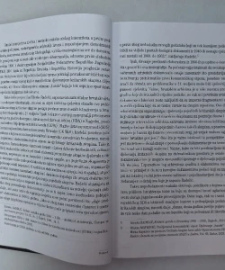 Od Vrana do Žabe - hrvatski protukomunistički otpor djelovanjem širokobrijeških i neretvanskih križarskih skupina (1944. - 1948.)