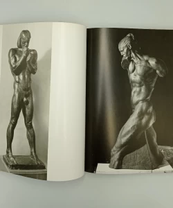 Knjiga Ivan Meštrović autor Božidar Gagro
