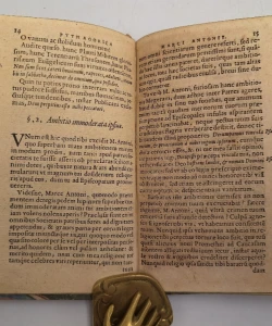 Pythagorica Marci Antonii de Dominis Nova Metempsychosis