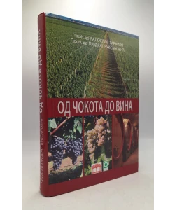 Od čokota do vina