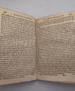Sermones morales super totius anni dominicas I-II