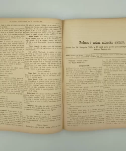 Dnevnik sabora trojedne kraljevine Dalmacije, Hrvatske i Slavonije godine 1868-1871