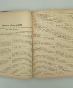 Dnevnik sabora trojedne kraljevine Dalmacije, Hrvatske i Slavonije godine 1868-1871