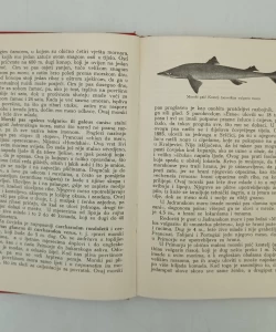 Vodič kroz gornje Primorje