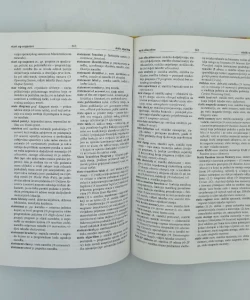 Englesko-hrvatski, hrvatsko-engleski informatički rječnik