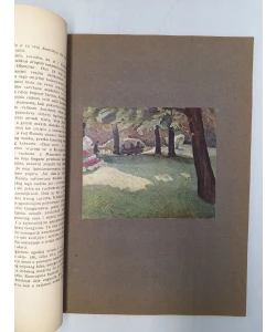Miroslav Kraljevi prva monografija