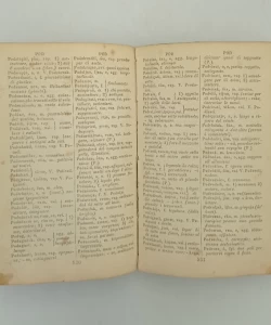 Rječnik slovinsko - talijanski / Vocabolario slavo - italiano