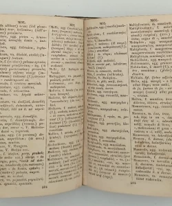 Rječnik talijansko-slovinski (hrvatski)