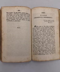 Knjiga Homelie autor Šime Starčević