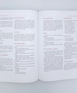 Knjiga Anima Delmatica autor Ljubo Stipišić Delmata
