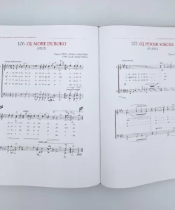 Knjiga Anima Delmatica autor Ljubo Stipišić Delmata