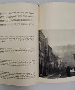 Zdenko Strižić: Svijetla i sjene: Jedna monografija Zagreba: Numerirani primjerak broj 985