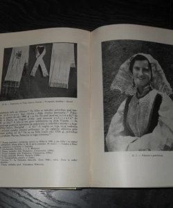 ANALI 1954.