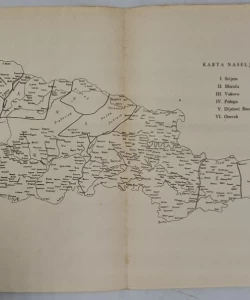 Podrijetlo naselja i govora u Slavoniji autor Stjepan Pavičić