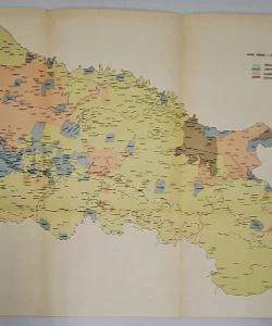 Podrijetlo naselja i govora u Slavoniji autor Stjepan Pavičić