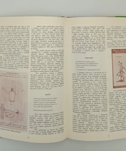 Sportska publicistika u Hrvatskoj