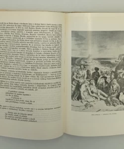 Rat protiv rata