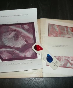 Spomenica u čast Dra Artura Gavazzija