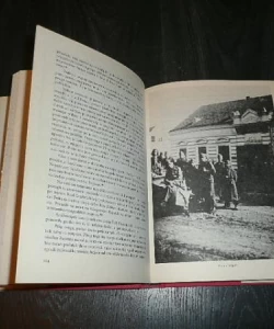 33. divizije nov Jugoslavije