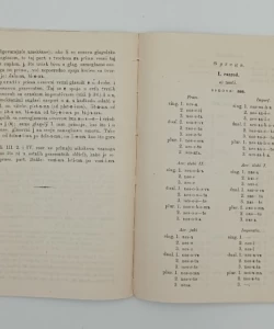 Slovnica jezika staroslovenskoga