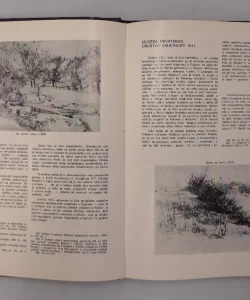 Knjiga Ferdo Kovačević autor Vera Kružić Uchytil