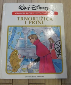 Trnoružica i princ